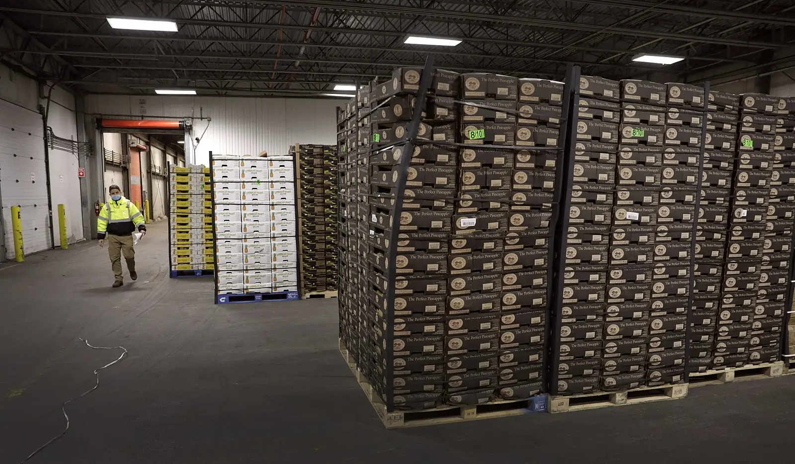 Inspector walking past stacked pallets of imported pineapples, one stack crushed